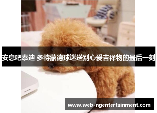 安息吧泰迪 多特蒙德球迷送别心爱吉祥物的最后一刻