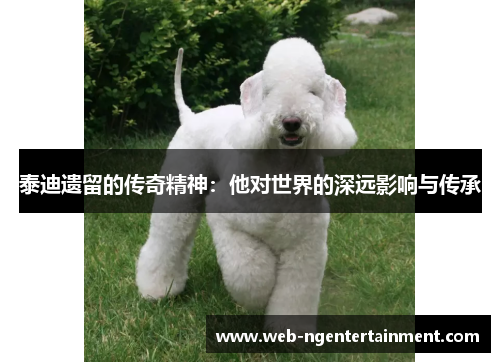 泰迪遗留的传奇精神：他对世界的深远影响与传承