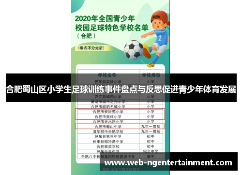 合肥蜀山区小学生足球训练事件盘点与反思促进青少年体育发展