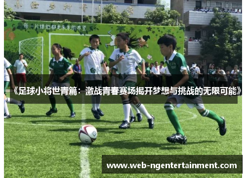 《足球小将世青篇：激战青春赛场揭开梦想与挑战的无限可能》
