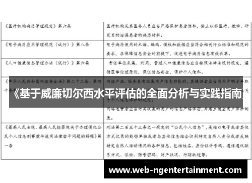 《基于威廉切尔西水平评估的全面分析与实践指南》