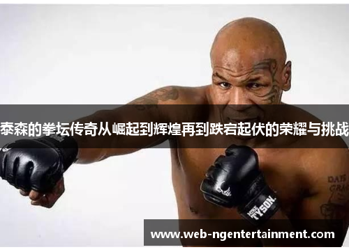泰森的拳坛传奇从崛起到辉煌再到跌宕起伏的荣耀与挑战