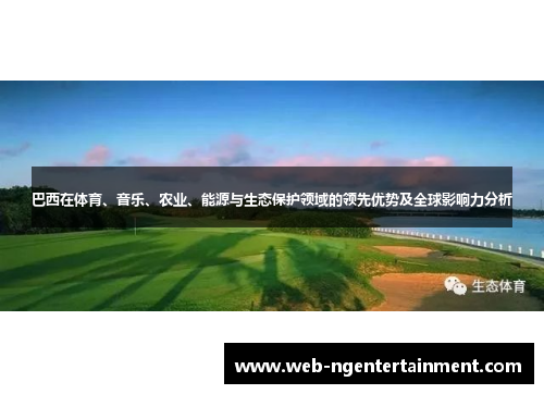 巴西在体育、音乐、农业、能源与生态保护领域的领先优势及全球影响力分析